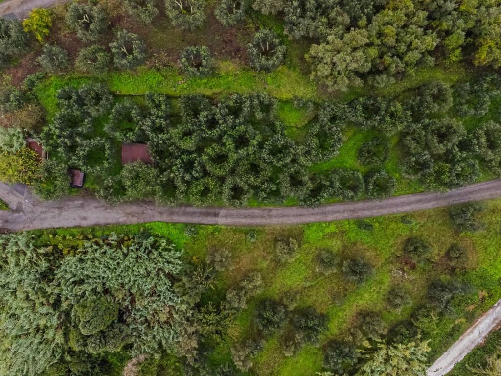 Terreno a Quarrata in Via di Bindino - Foto 3
