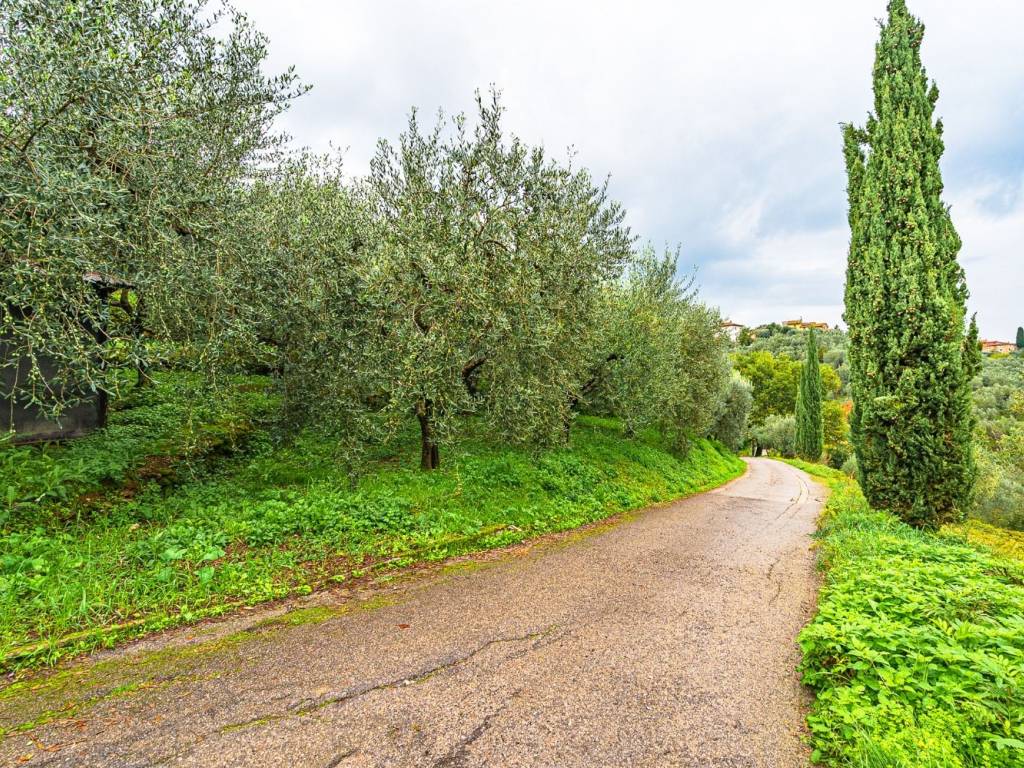Terreno a Quarrata in Via di Bindino - Foto 5