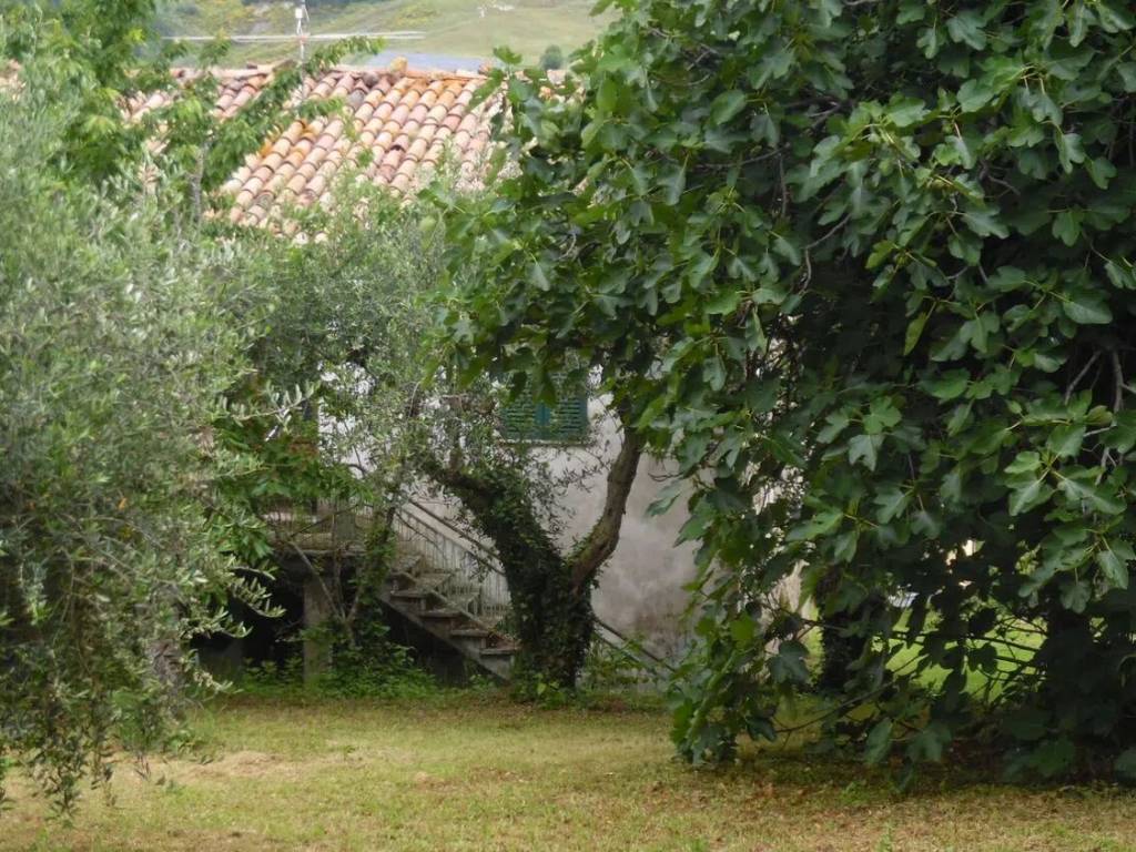 Rustico / casale a Macerata feltria in San Teodoro S.N.C. - Foto 2