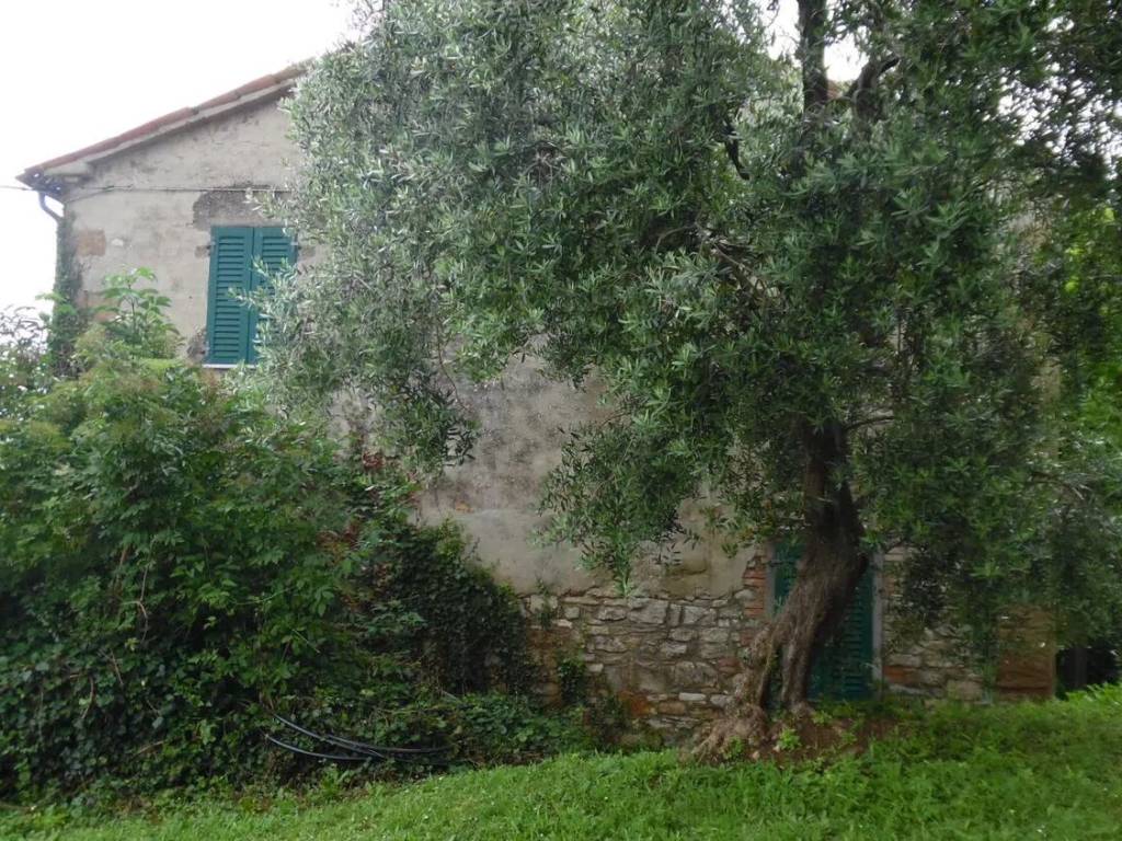 Rustico / casale a Macerata feltria in San Teodoro S.N.C. - Foto 5
