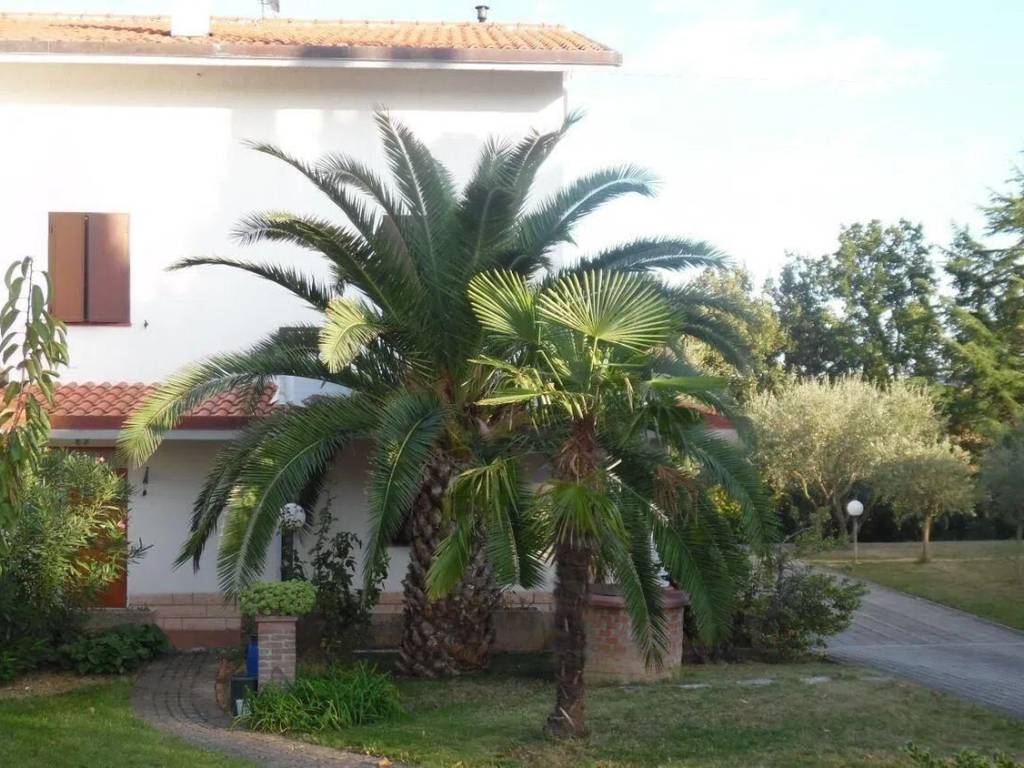 Villa a Vallefoglia in Via Il Montale, 6 - Foto 3