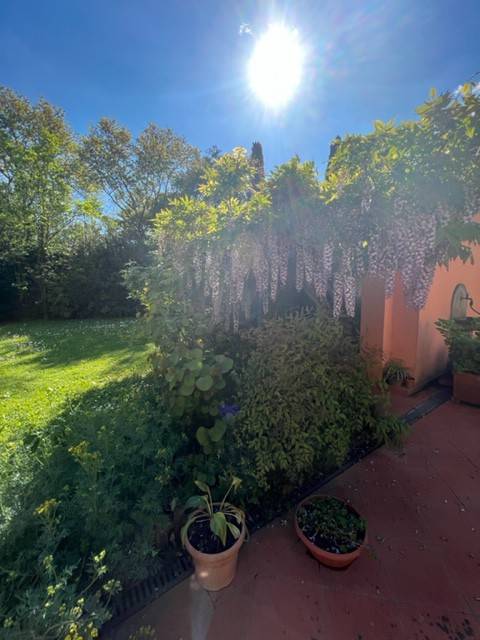 Rustico / casale a Montale - Foto 5