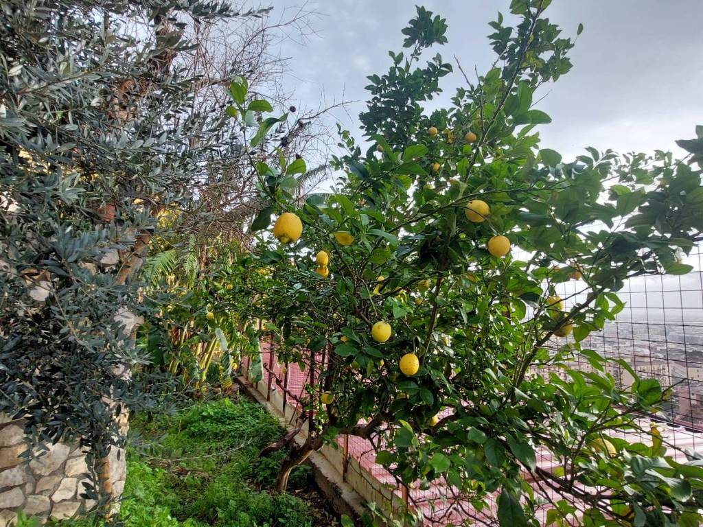 Casa indipendente a Sarno in Borgo San Matteo - Foto 5