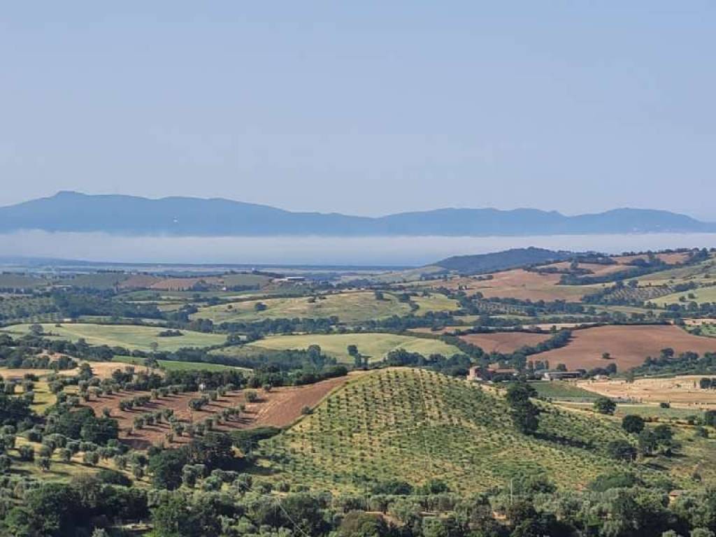 Appartamento a Magliano in toscana in via delle Case Nuove 2 - Foto 3
