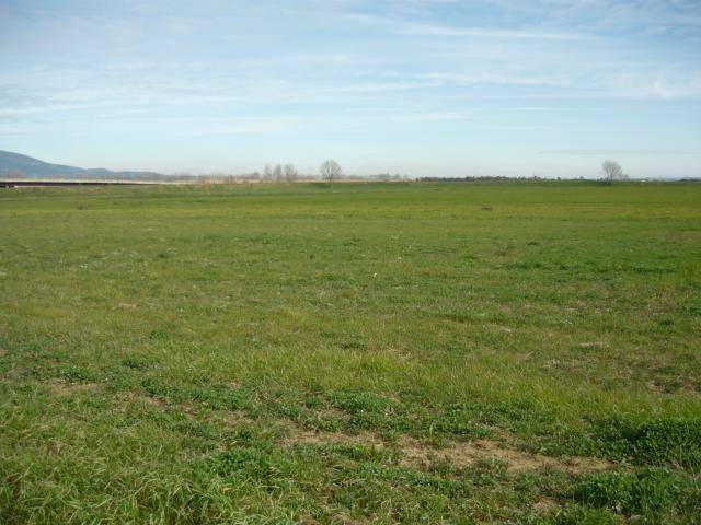 Terreno a San demetrio ne' vestini in San Demetrio Ne' Vestini - Foto 2