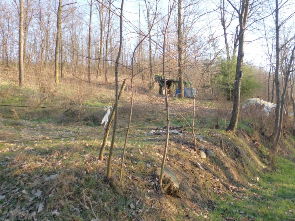 Terreno a Bra in Strada Vecchia Torino, 98 - Foto 2