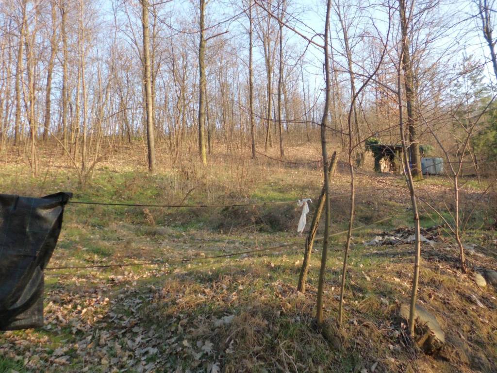 Terreno a Bra in Strada Vecchia Torino, 98 - Foto 3