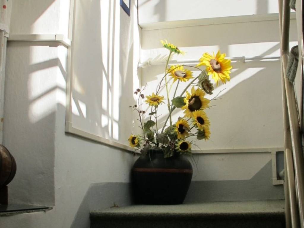 Casa indipendente a Campiglia cervo in Frazione Forgnengo, 70 - Foto 5