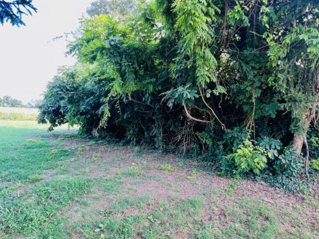 Terreno a Occhiobello in Via Baccanazza - Foto 4