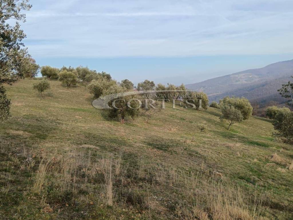 Terreno a Monte santa maria tiberina - Foto 2