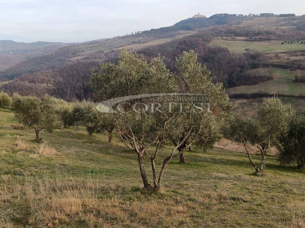 Terreno a Monte santa maria tiberina - Foto 3