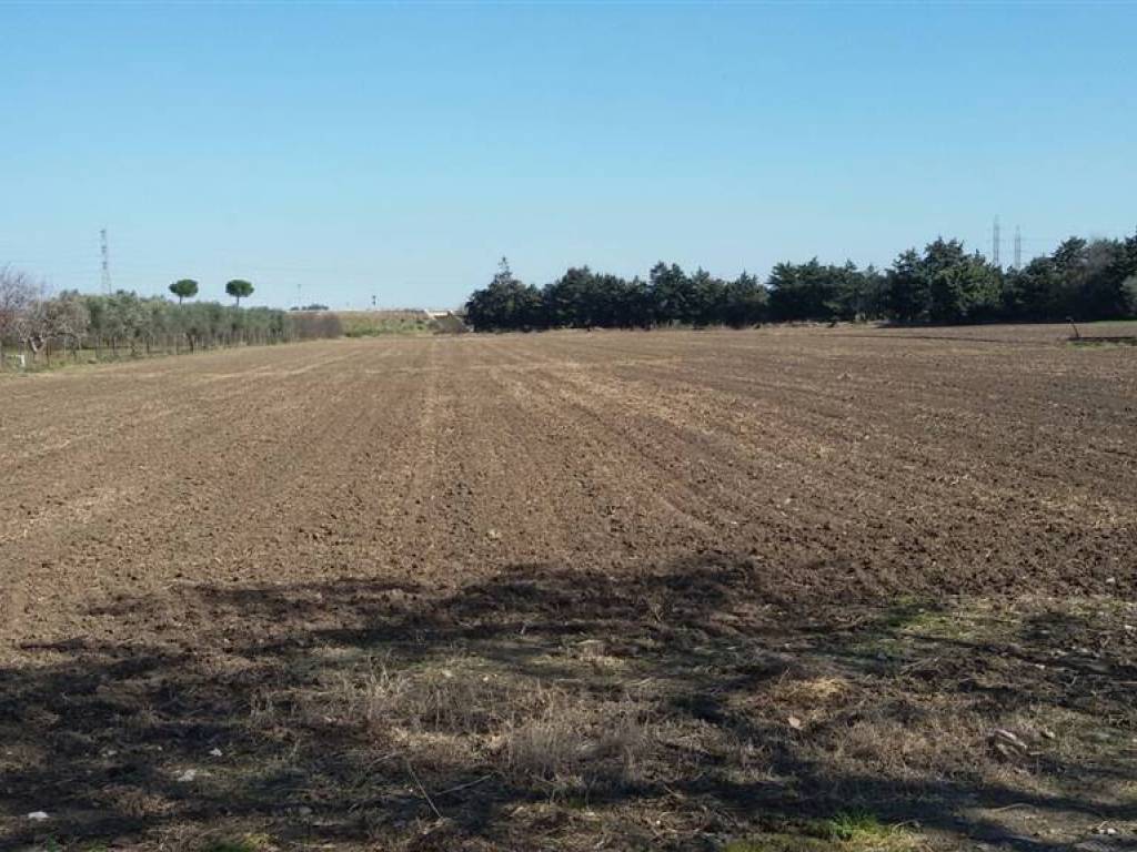 Terreno a Foggia in Via Tratturo Castiglione - Foto 2