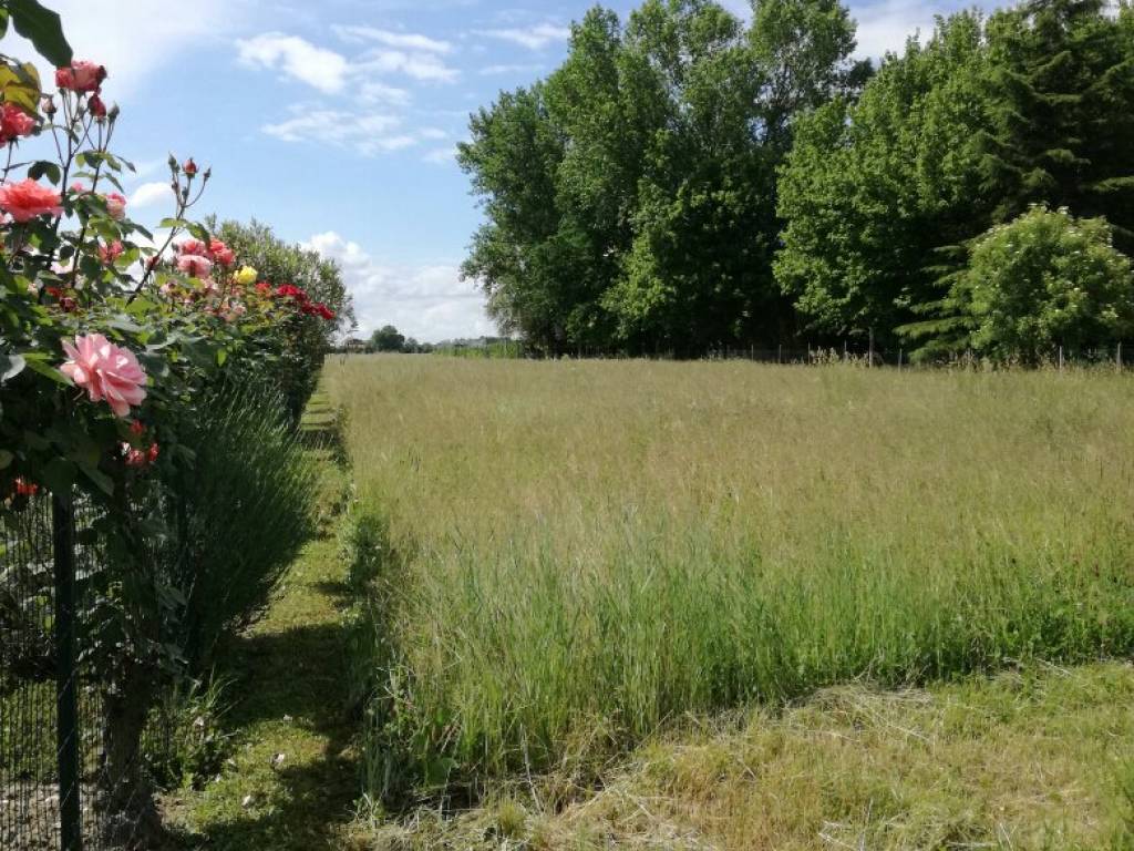 Terreno a Tresignana in Via Maianti - Foto 3