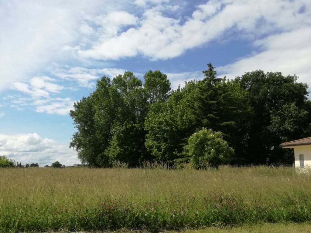 Terreno a Tresignana in Via Maianti - Foto 4