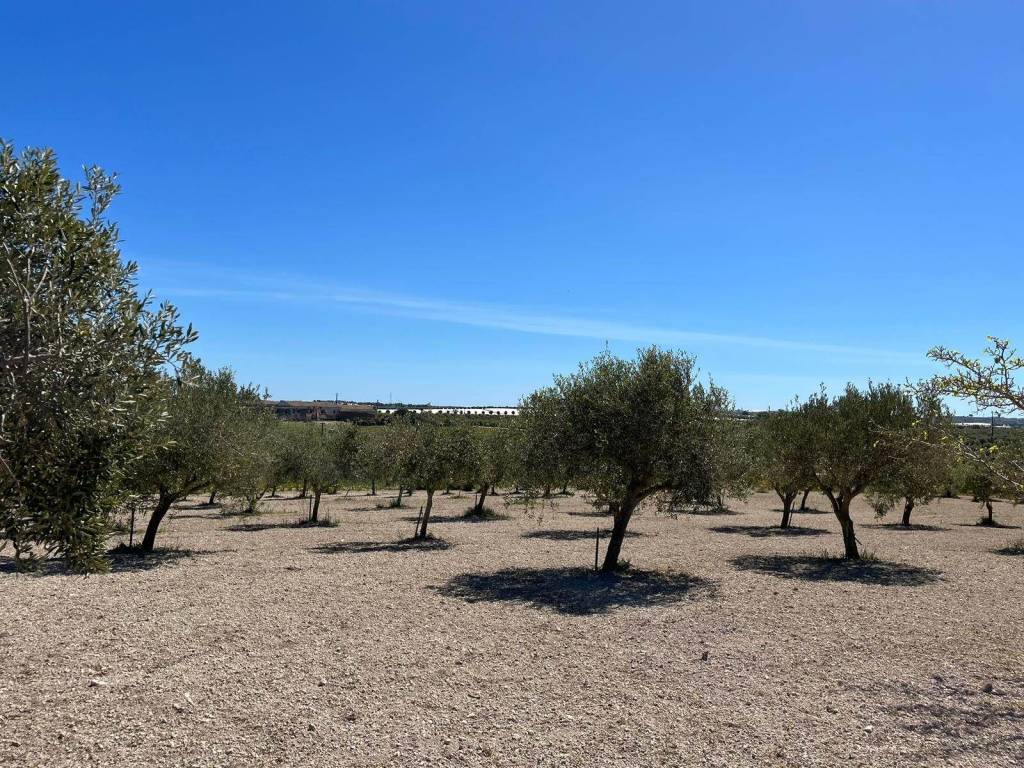 Terreno a Noto in SP26 - Foto 2