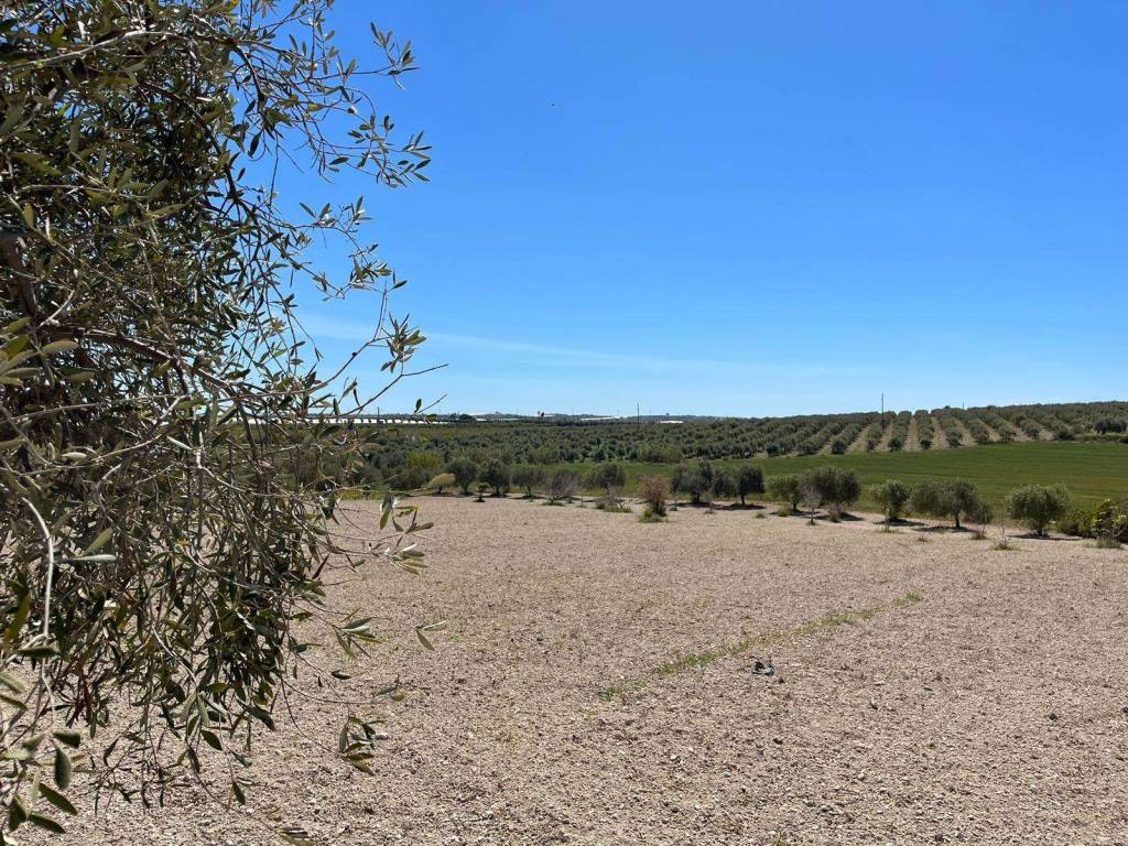 Terreno a Noto in SP26 - Foto 3