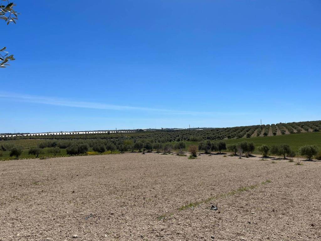 Terreno a Noto in SP26 - Foto 4
