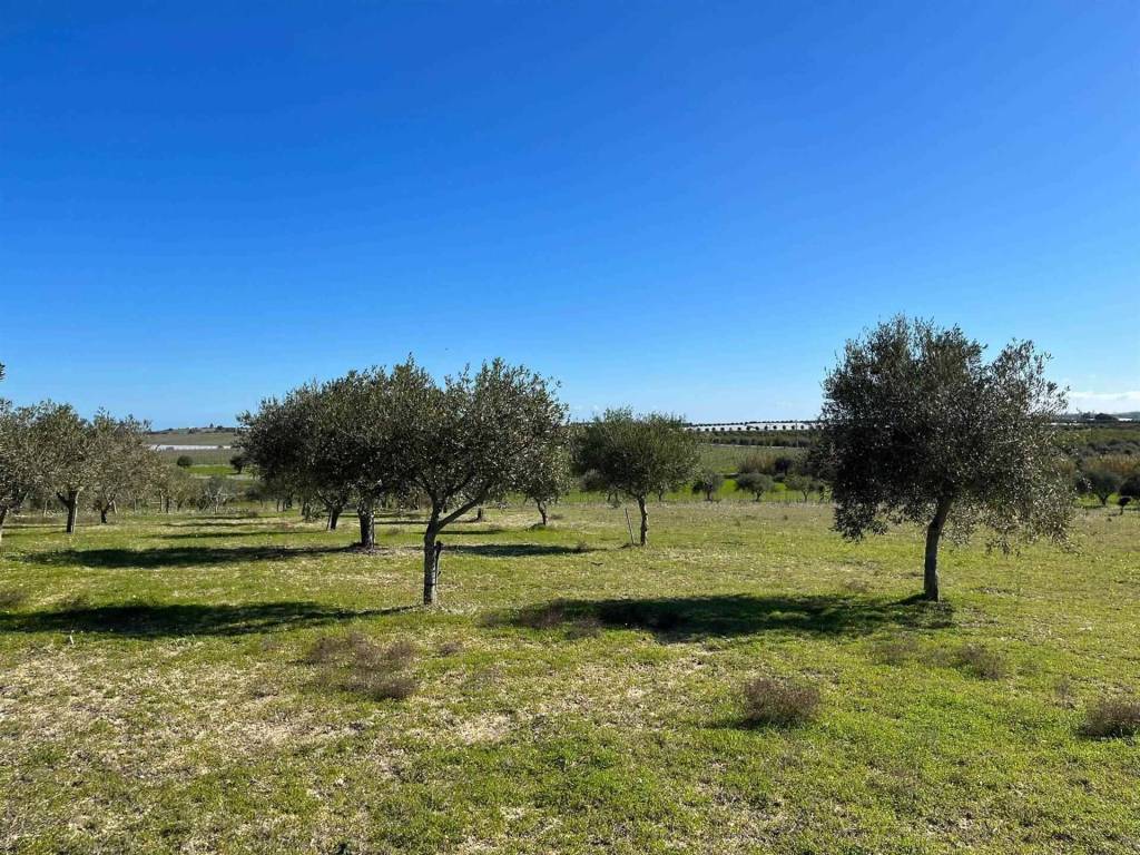 Terreno a Noto in SP26 - Foto 5