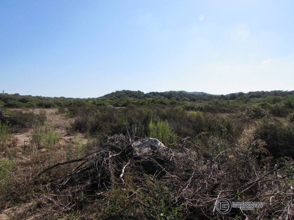 Terreno a Olbia in Via monte a telti - Foto 2