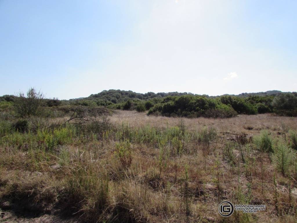 Terreno a Olbia in Via monte a telti - Foto 5