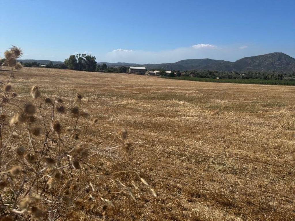 Terreno a Dolianova in Strada Comunale Funtana Pirastu - Foto 3