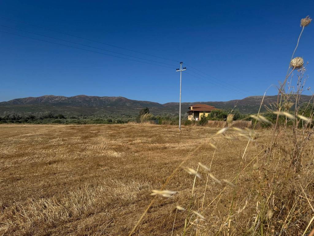 Terreno a Dolianova in Strada Comunale Funtana Pirastu - Foto 5