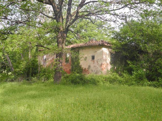 Rustico / casale a Montevarchi in Via Chiantigiana - Foto 2