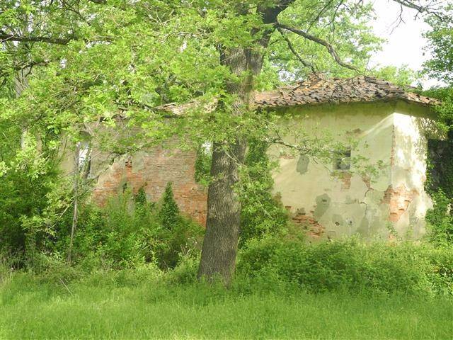 Rustico / casale a Montevarchi in Via Chiantigiana - Foto 3