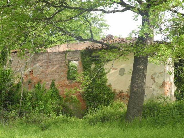 Rustico / casale a Montevarchi in Via Chiantigiana - Foto 5