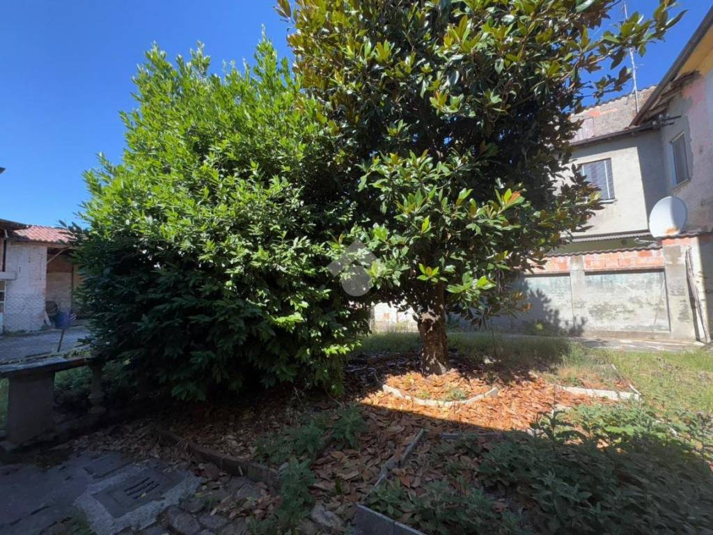 Casa indipendente a Rivarolo mantovano in Via Gonzaga, 2 - Foto 3