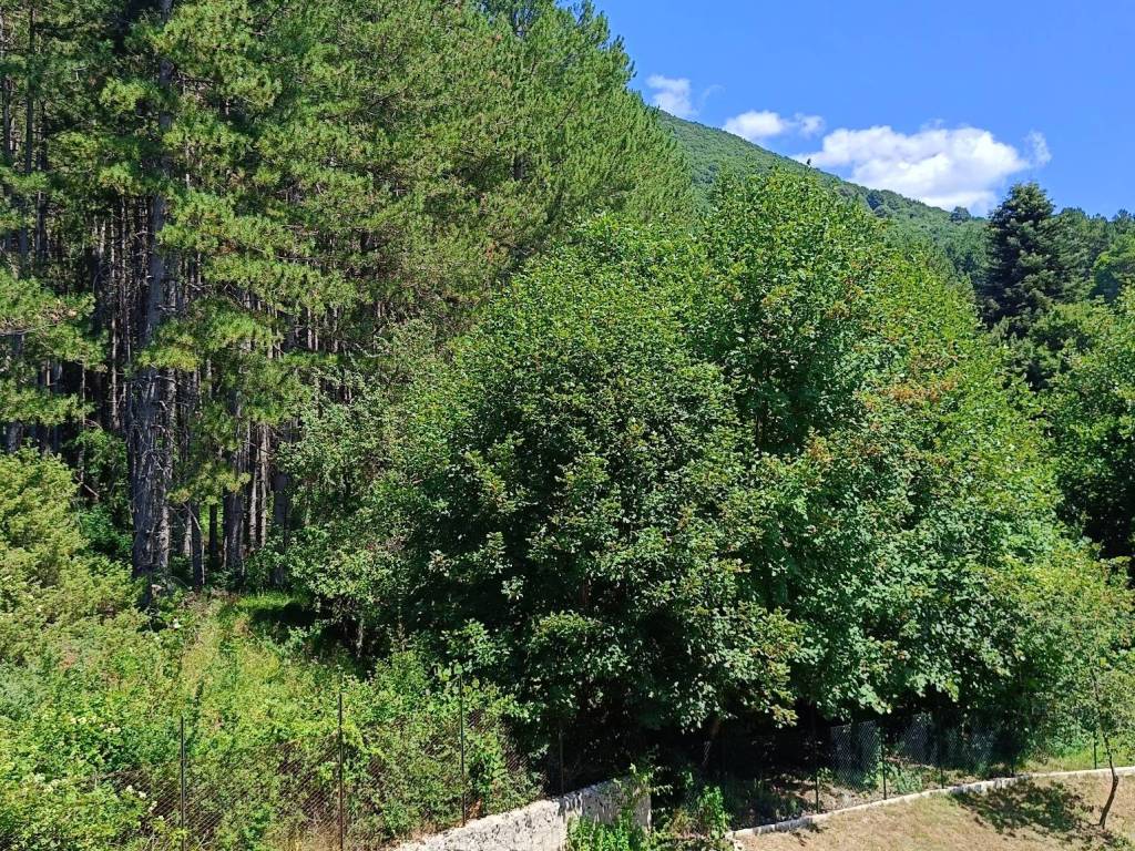 Appartamento a Filettino in Residence Valleverde - Foto 4
