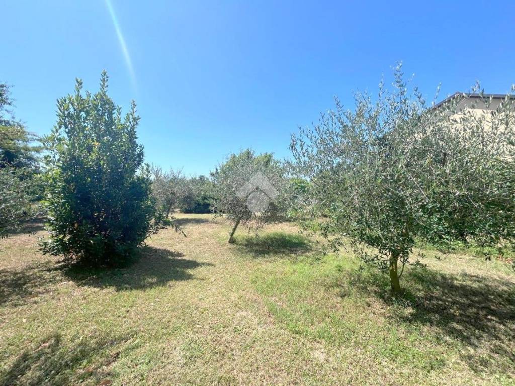 Casa indipendente a Castello di annone in Frazione Poggio Gerba, 6 - Foto 4