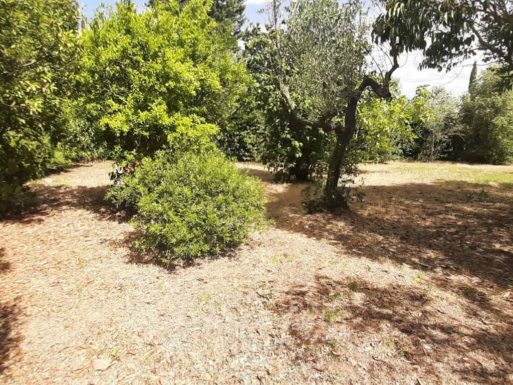 Villa a Rosignano marittimo - Foto 4
