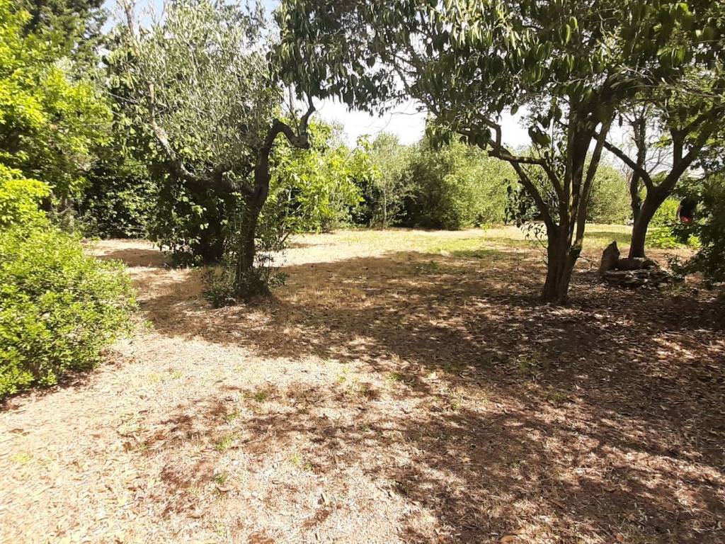 Villa a Rosignano marittimo - Foto 5