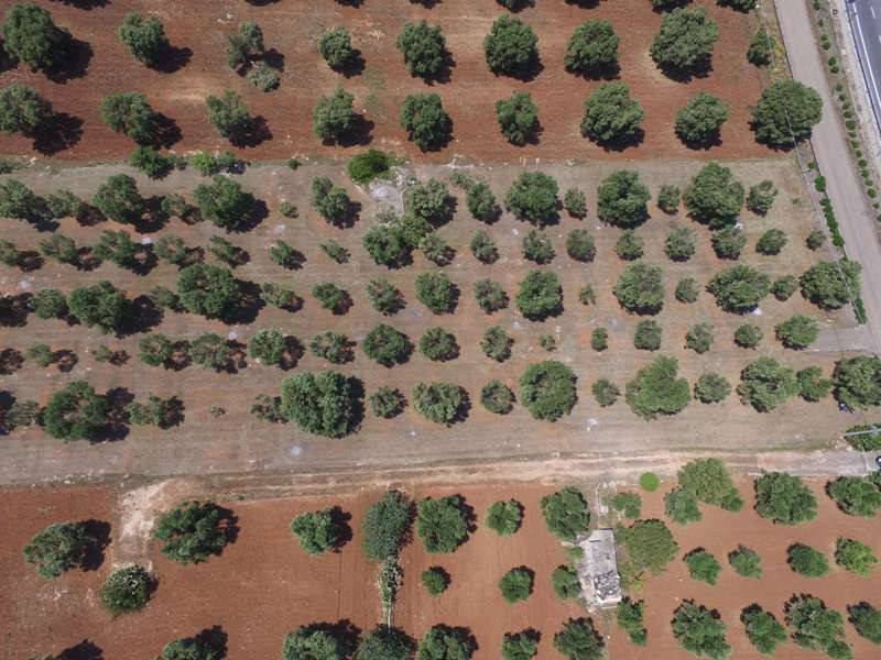 Terreno a Carovigno - Foto 2