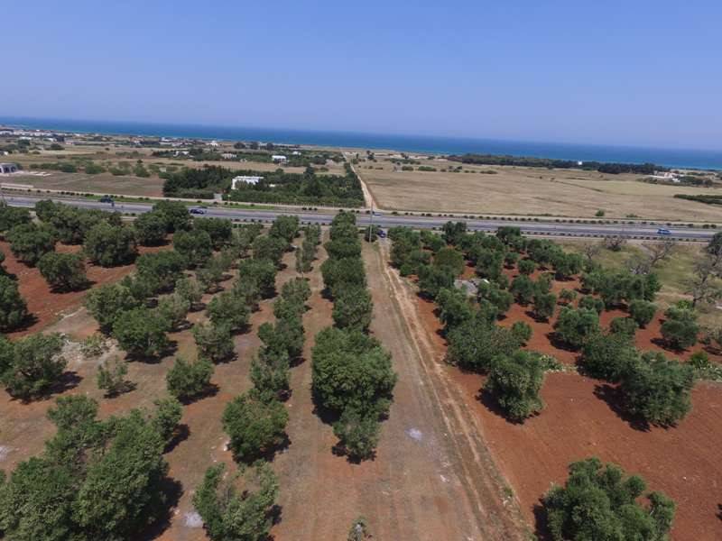 Terreno a Carovigno - Foto 3