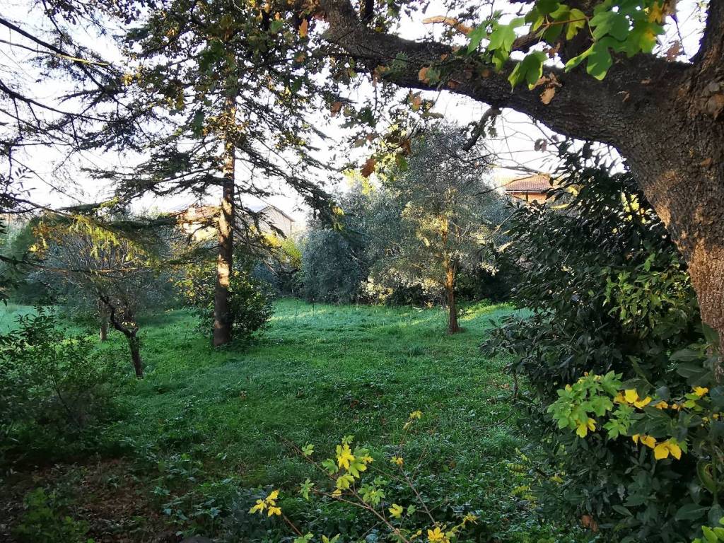 Terreno a Osimo in Via Giuggioli - Foto 3