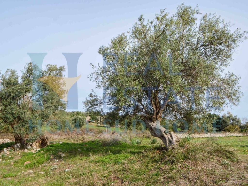 Rustico / casale a Canicattini bagni in Via Roma - Foto 4