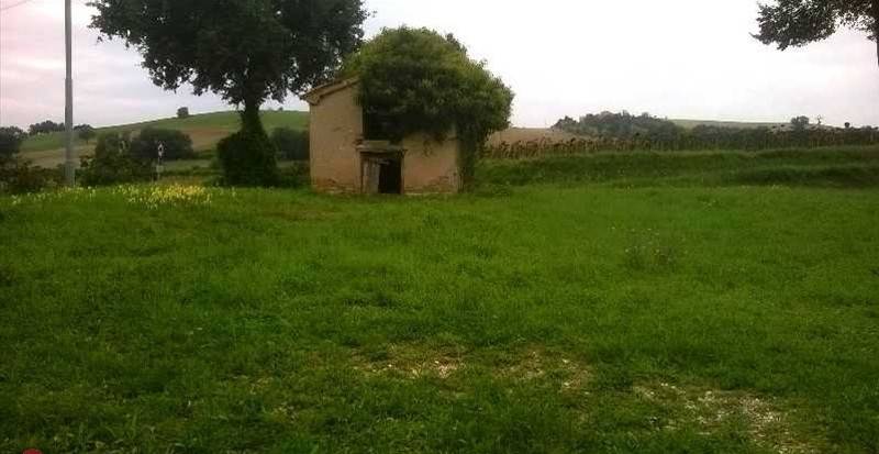 Rustico / casale a Arcevia in frazione palazzo - Foto 5