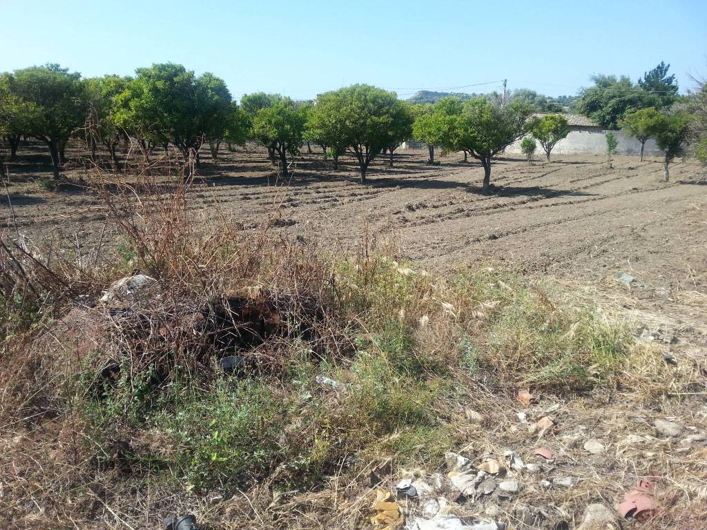 Terreno a Gioiosa ionica - Foto 5