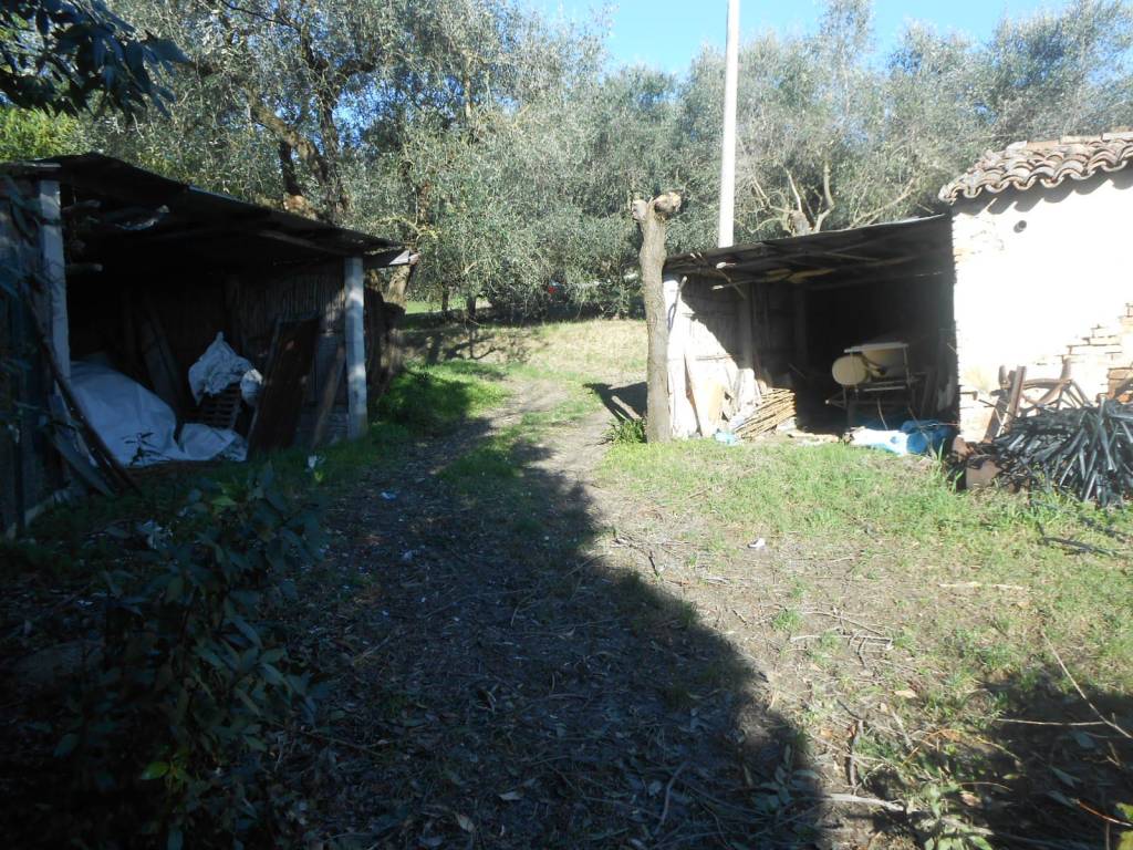 Rustico / casale a Jesi in acquasanta, 10 - Foto 3