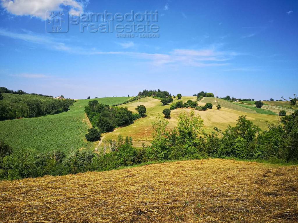Rustico / casale a Terre roveresche - Foto 2