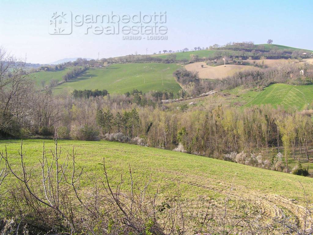 Rustico / casale a Terre roveresche - Foto 4