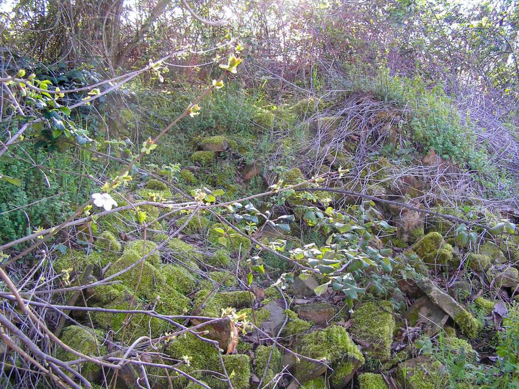 Rustico / casale a Terre roveresche - Foto 5