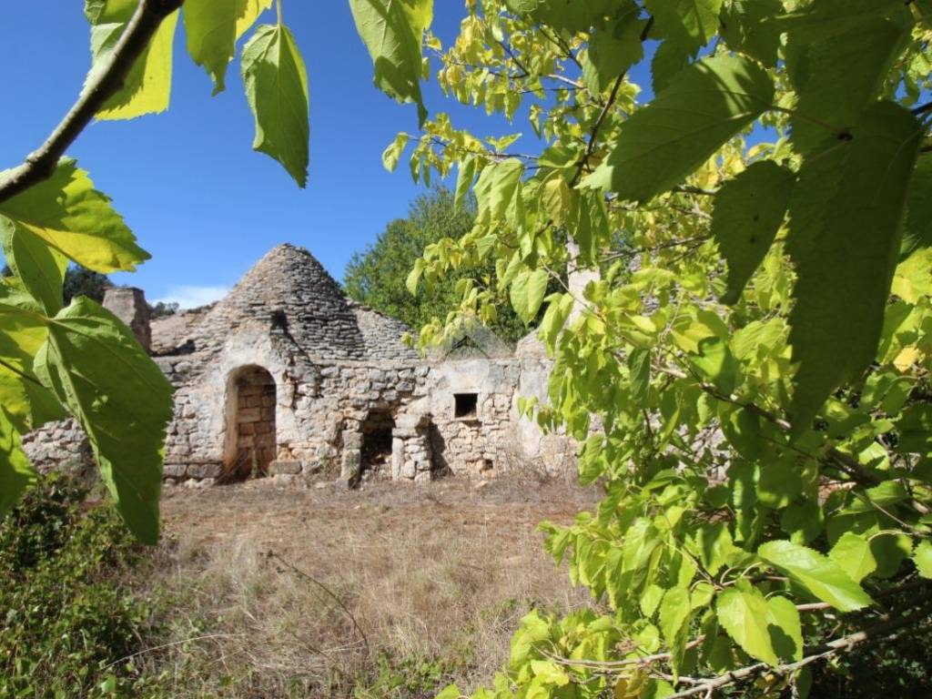 Rustico / casale a Francavilla fontana in Contrada pozzo pallone - Foto 2