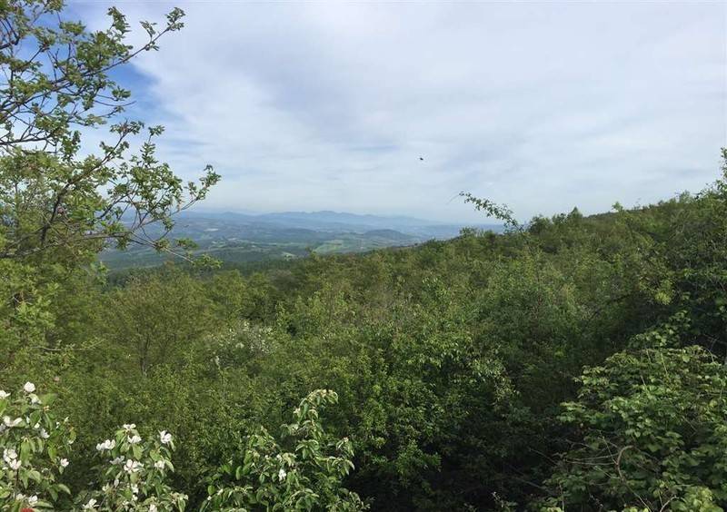 Terreno a San casciano dei bagni - Foto 2