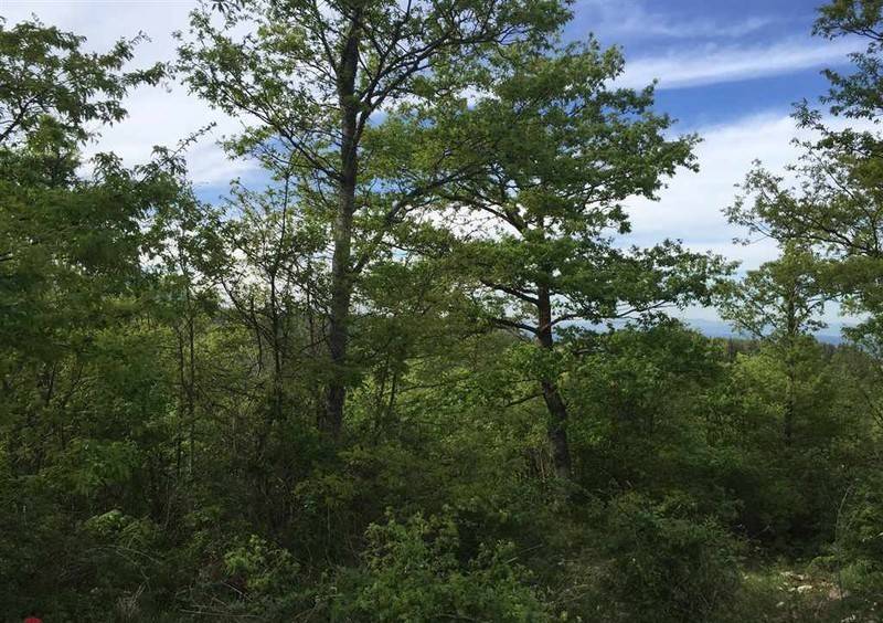 Terreno a San casciano dei bagni - Foto 3