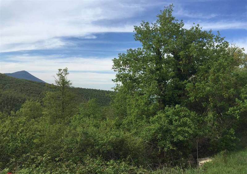 Terreno a San casciano dei bagni - Foto 4