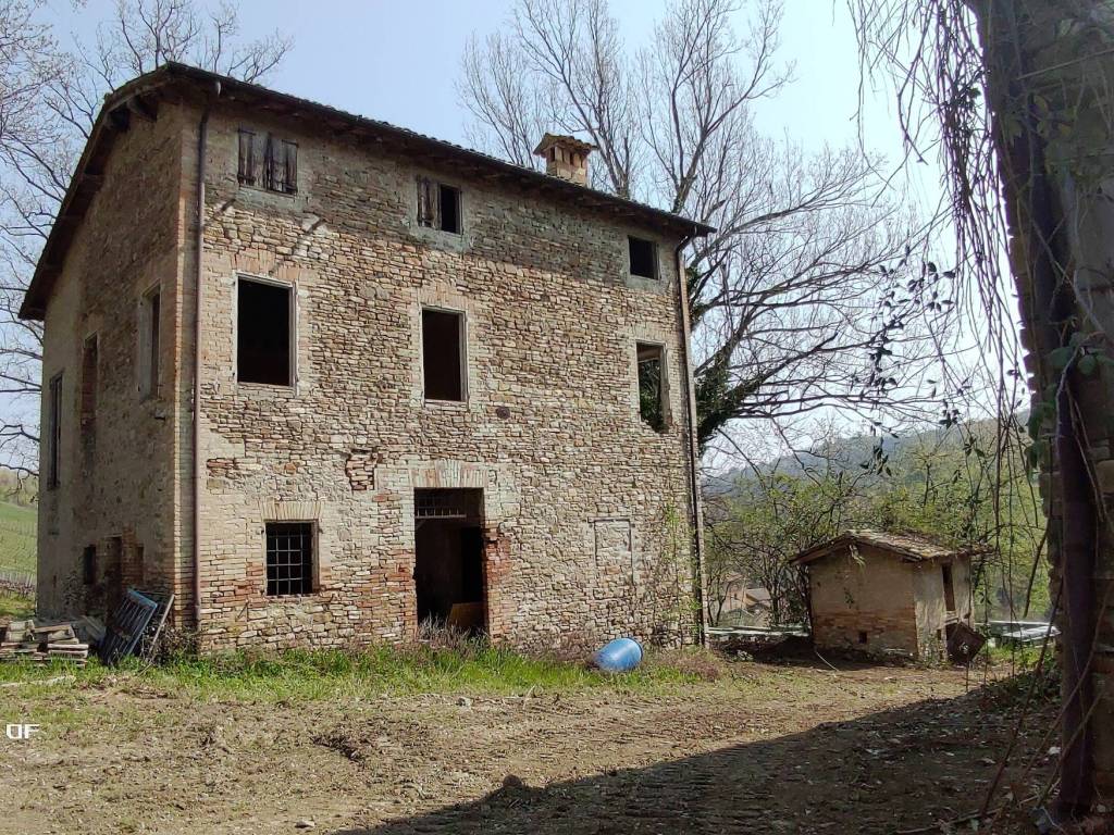 Rustico / casale a Castelvetro di modena - Foto 2