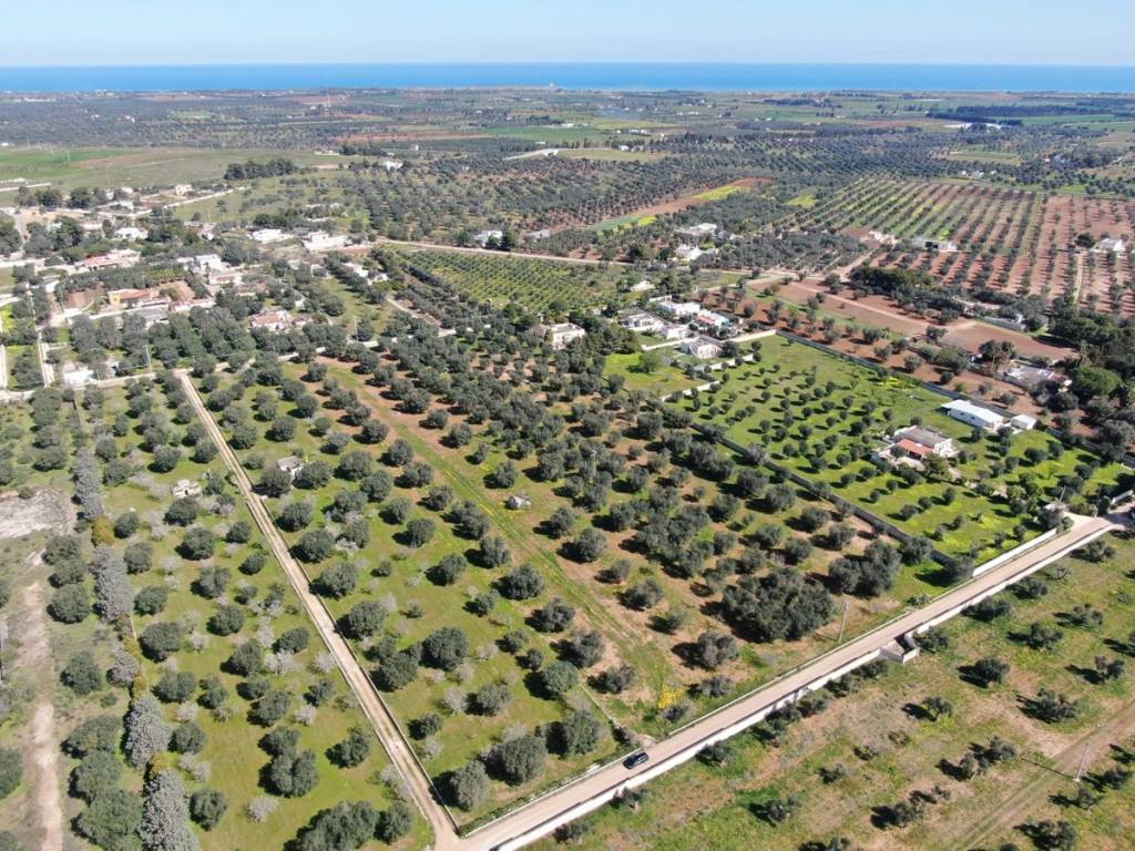 Terreno a Carovigno in Contrada Colombo - Foto 4